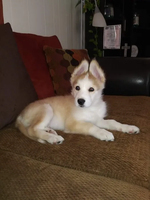Unleashed by Petco Picture 10