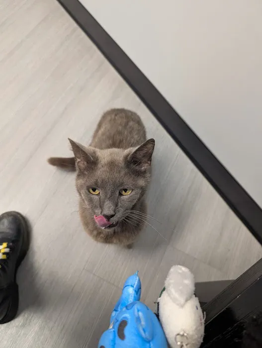 Old Line Veterinary Urgent Care Picture 1