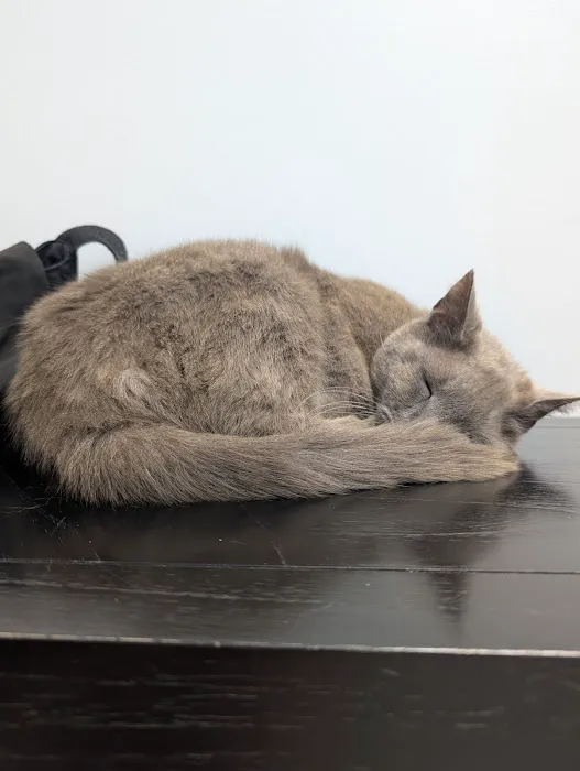 Old Line Veterinary Urgent Care Picture 5