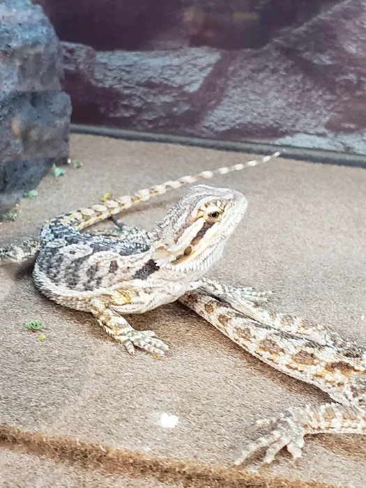 Petco Picture 8