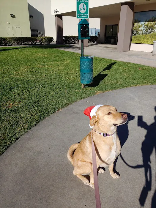 Petco Picture 6