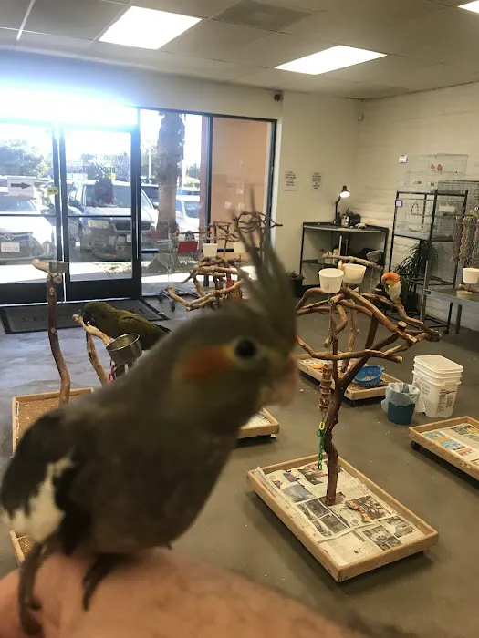 BirdSmart Picture 1