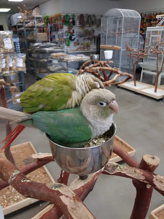 BirdSmart Picture 4