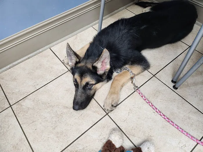 Cumberland Valley Veterinary Clinic Picture 3