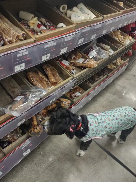 Petco Picture 8