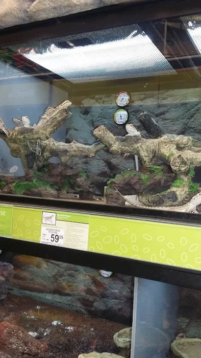 Petco Picture 3