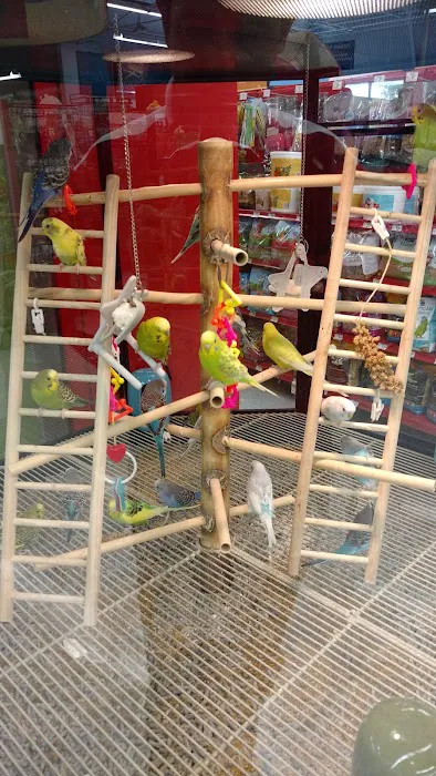 Petco Picture 9