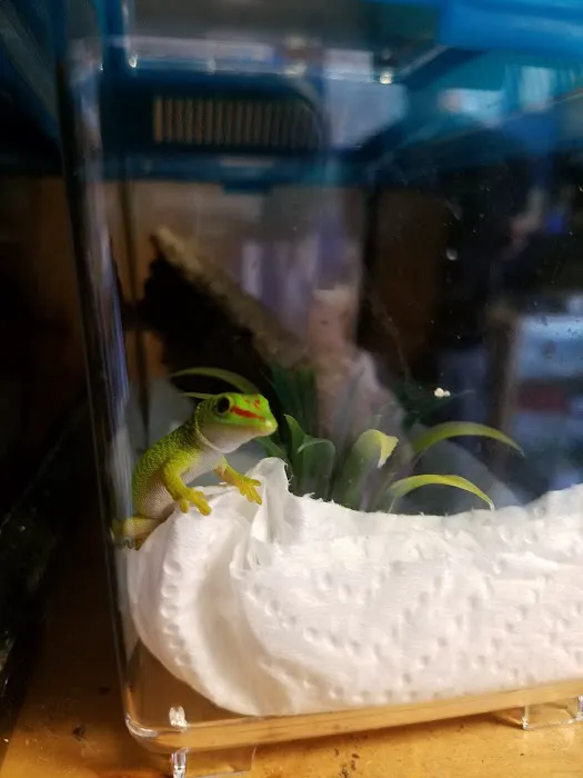 Reef and Reptile Company Picture 10