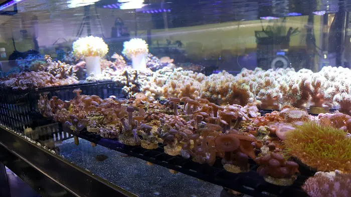 Reef and Reptile Company Picture 8