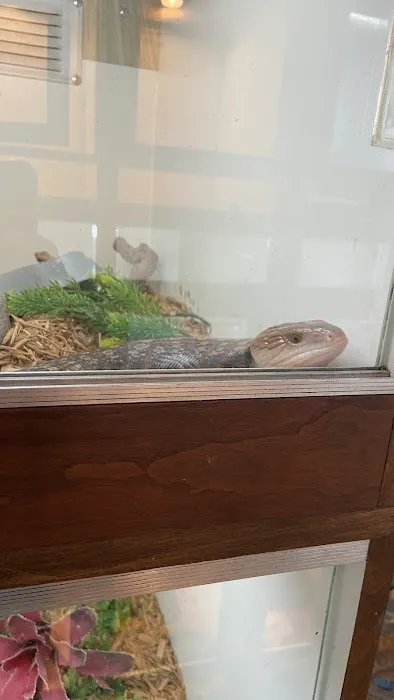 Reef and Reptile Company Picture 1