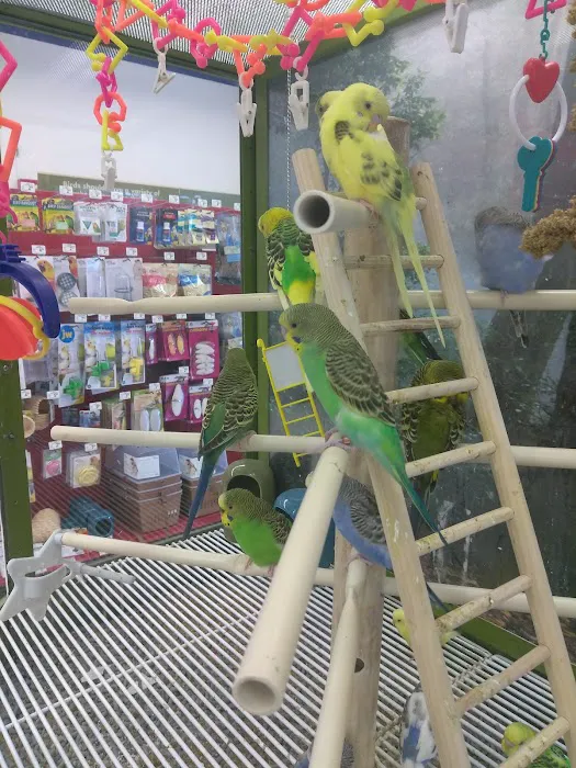Petco Picture 8