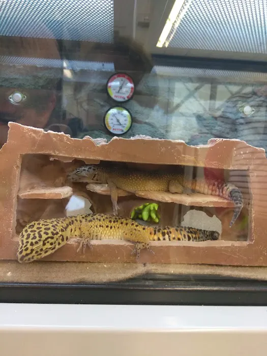Petco Picture 7