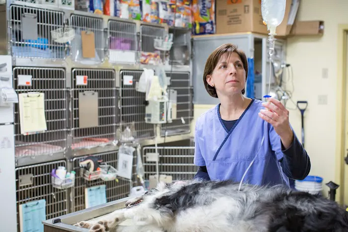 Jefferson Veterinary Hospital Picture 2