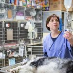 Jefferson Veterinary Hospital