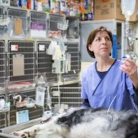Jefferson Veterinary Hospital ico