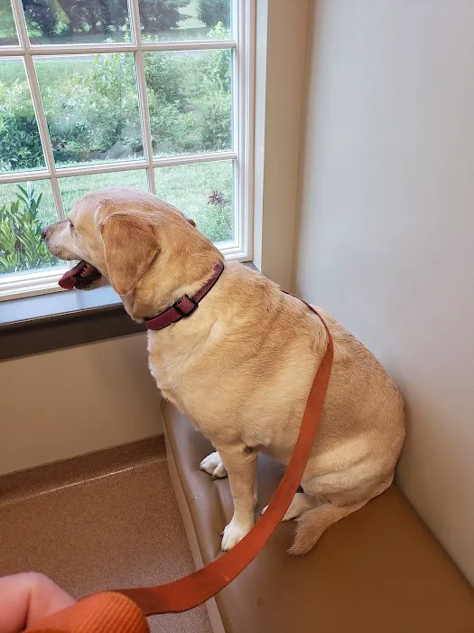 Jefferson Veterinary Hospital Picture 10