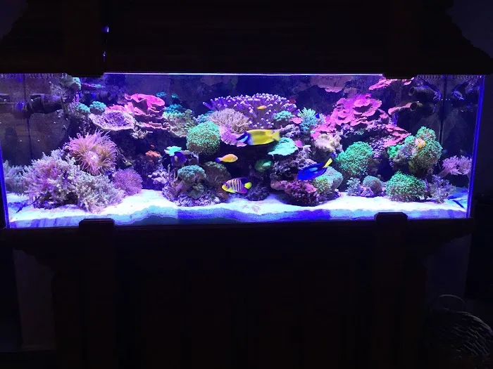 Reliant Aquarium Design Picture 3