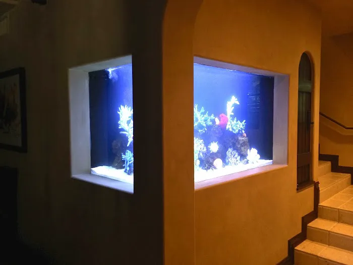 Reliant Aquarium Design Picture 1