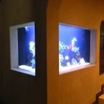 Reliant Aquarium Design