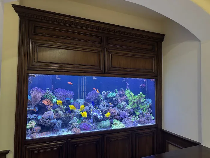 Reliant Aquarium Design Picture 2