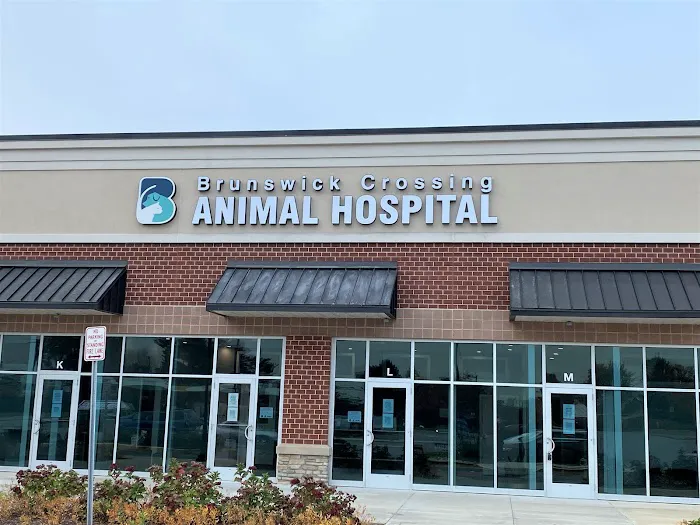 Brunswick Crossing Animal Hospital Picture 7