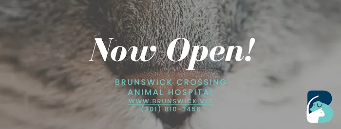 Brunswick Crossing Animal Hospital Picture 1