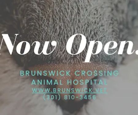 Brunswick Crossing Animal Hospital