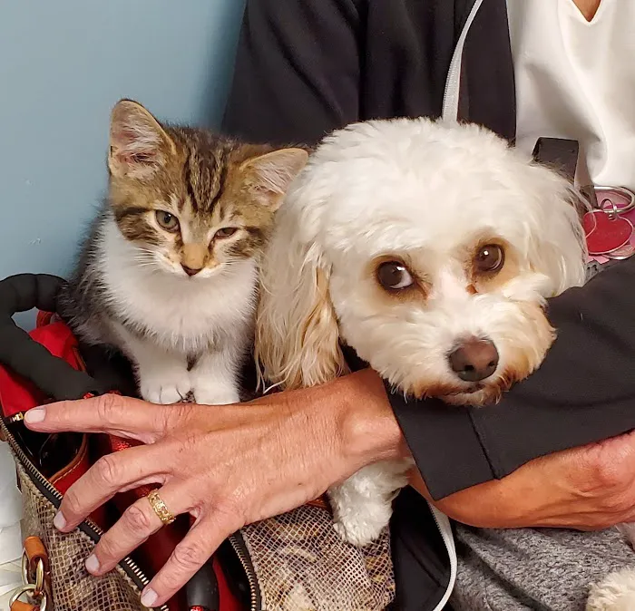 Brunswick Crossing Animal Hospital Picture 5