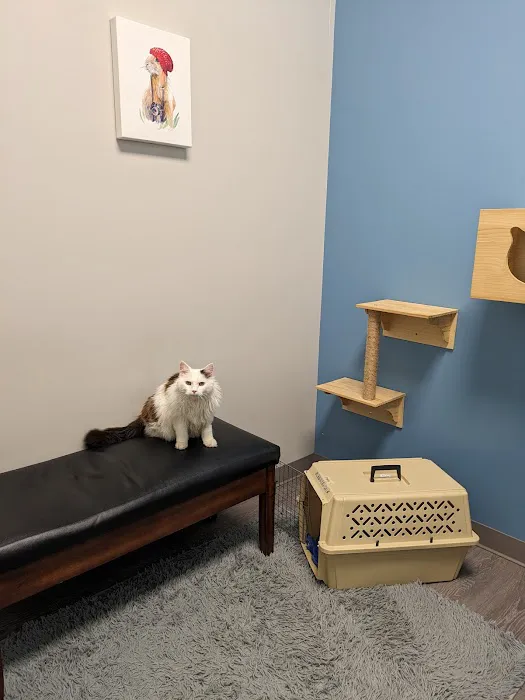Brunswick Crossing Animal Hospital Picture 6