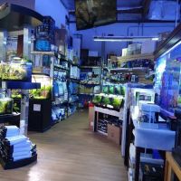 Aquatic Warehouse ico