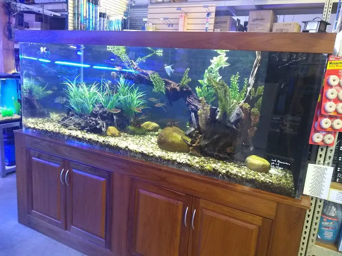 Aquatic Warehouse Picture 4