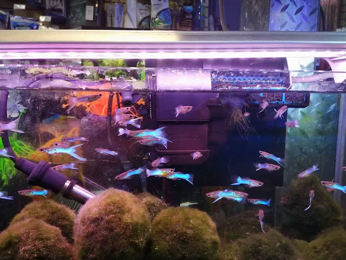 Aquatic Warehouse Picture 8
