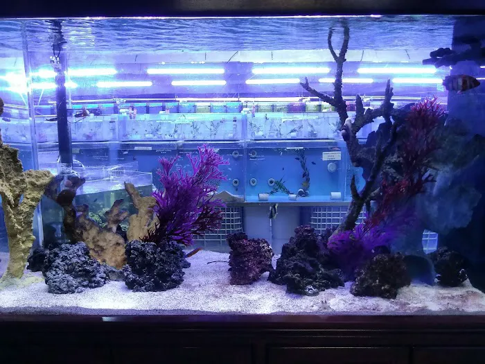 Aquatic Warehouse Picture 6