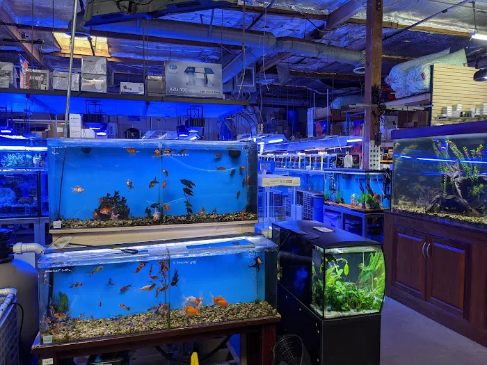 Aquatic Warehouse Picture 5