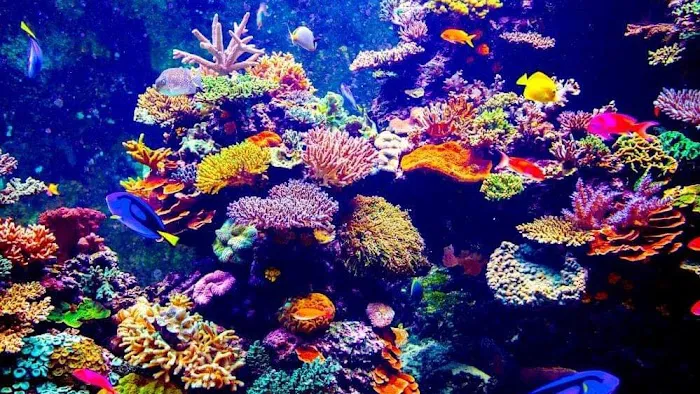 Aquatic Warehouse Picture 9