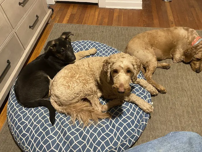 Brunswick Veterinary Office Picture 3