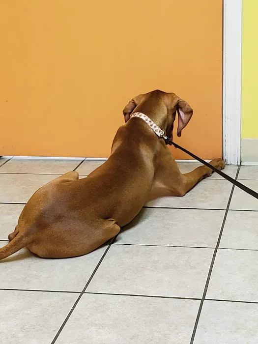 Claws N Paws Animal Hospital Picture 6