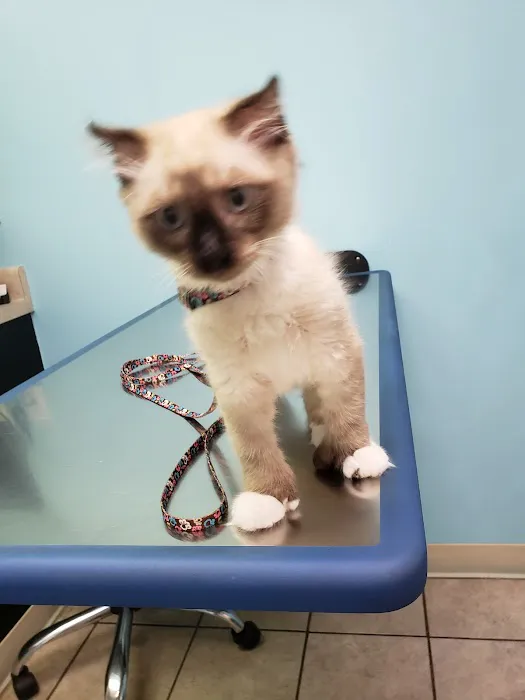 Claws N Paws Animal Hospital Picture 5