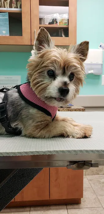 Elkridge Animal Hospital Picture 5
