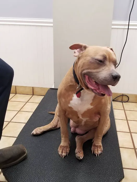 Calvert Animal Hospital Picture 3