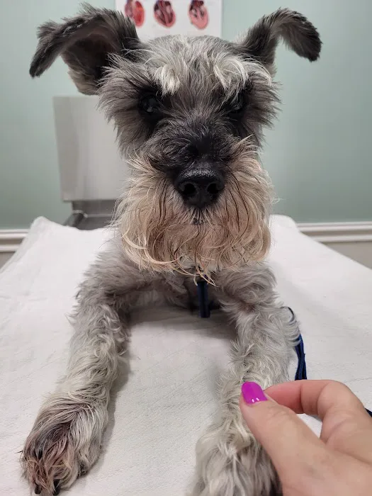 Calvert Animal Hospital Picture 6