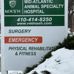 For Paws Rehabilitation