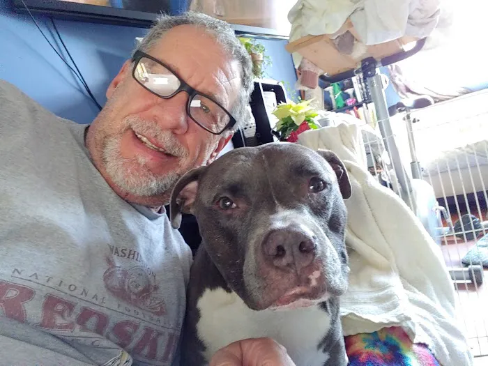 Mid-Atlantic Animal Specialty Hospital Picture 2