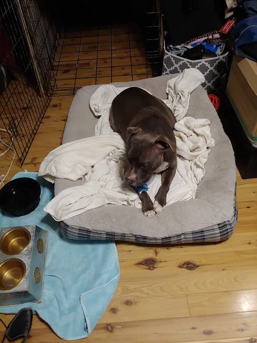 Mid-Atlantic Animal Specialty Hospital Picture 1