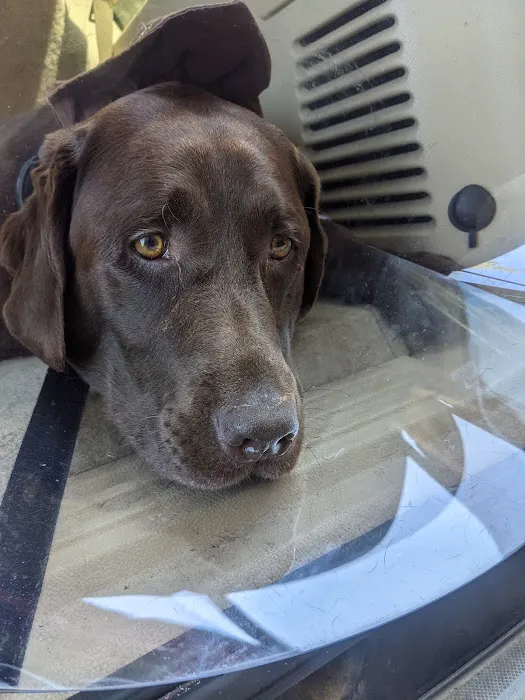 Mid-Atlantic Animal Specialty Hospital Picture 8