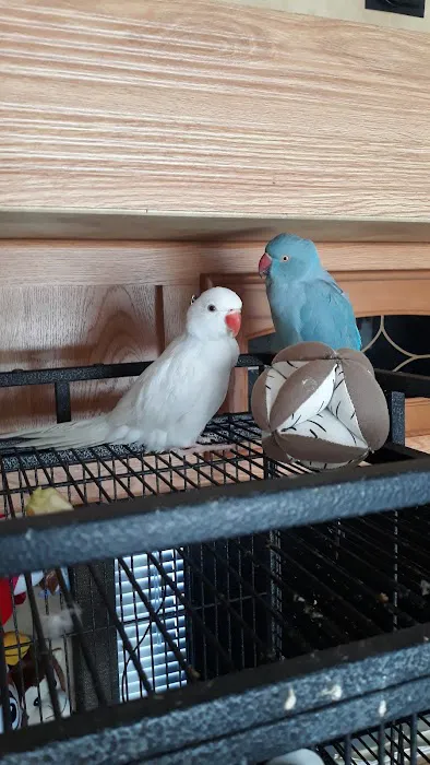 Arrieros Pet Shop Picture 3