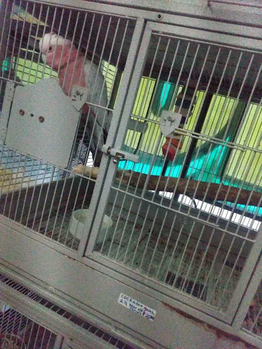 Arrieros Pet Shop Picture 7