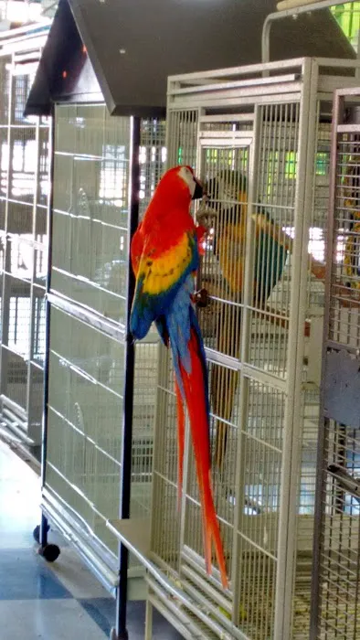 Arrieros Pet Shop Picture 1