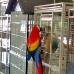 Arrieros Pet Shop