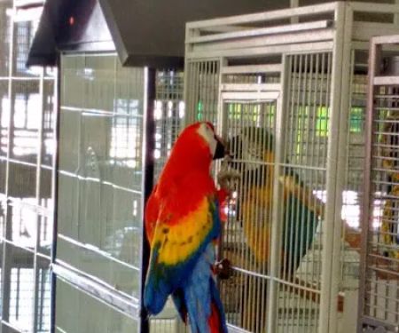 Arrieros Pet Shop